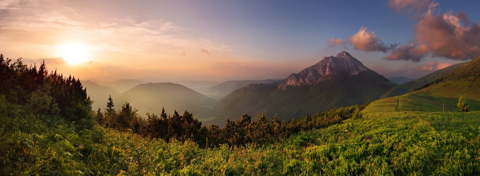 Ogden Psychological Services Neurofeedback