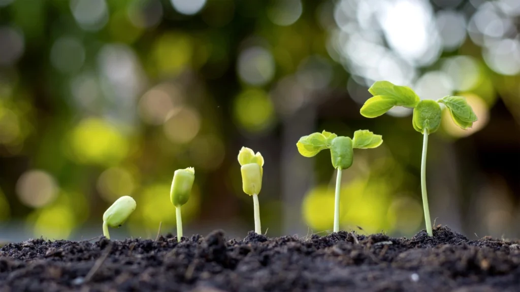 New Year Reflection: Celebrating Growth, Not Perfection