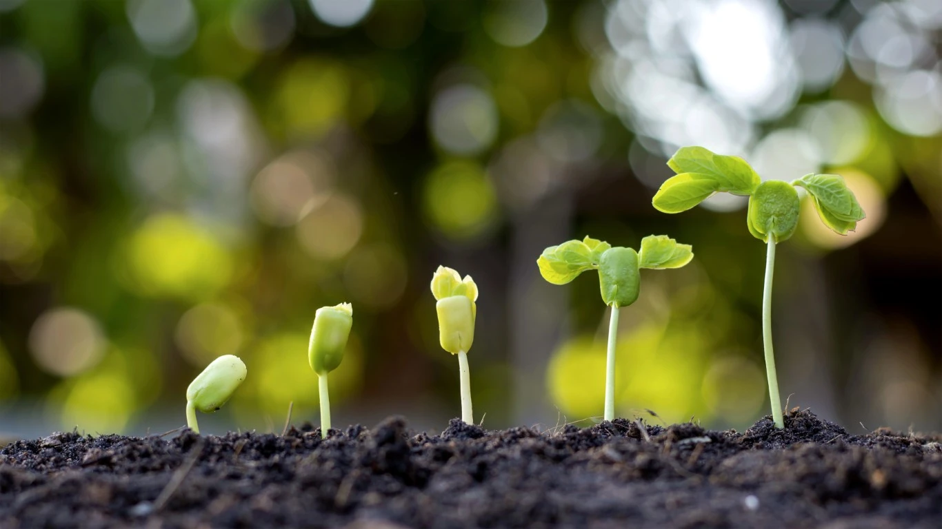 New Year Reflection: Celebrating Growth, Not Perfection