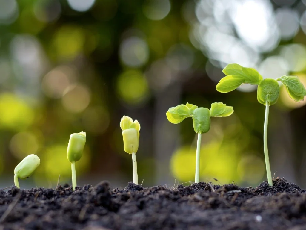 How to Make Real Progress in Therapy